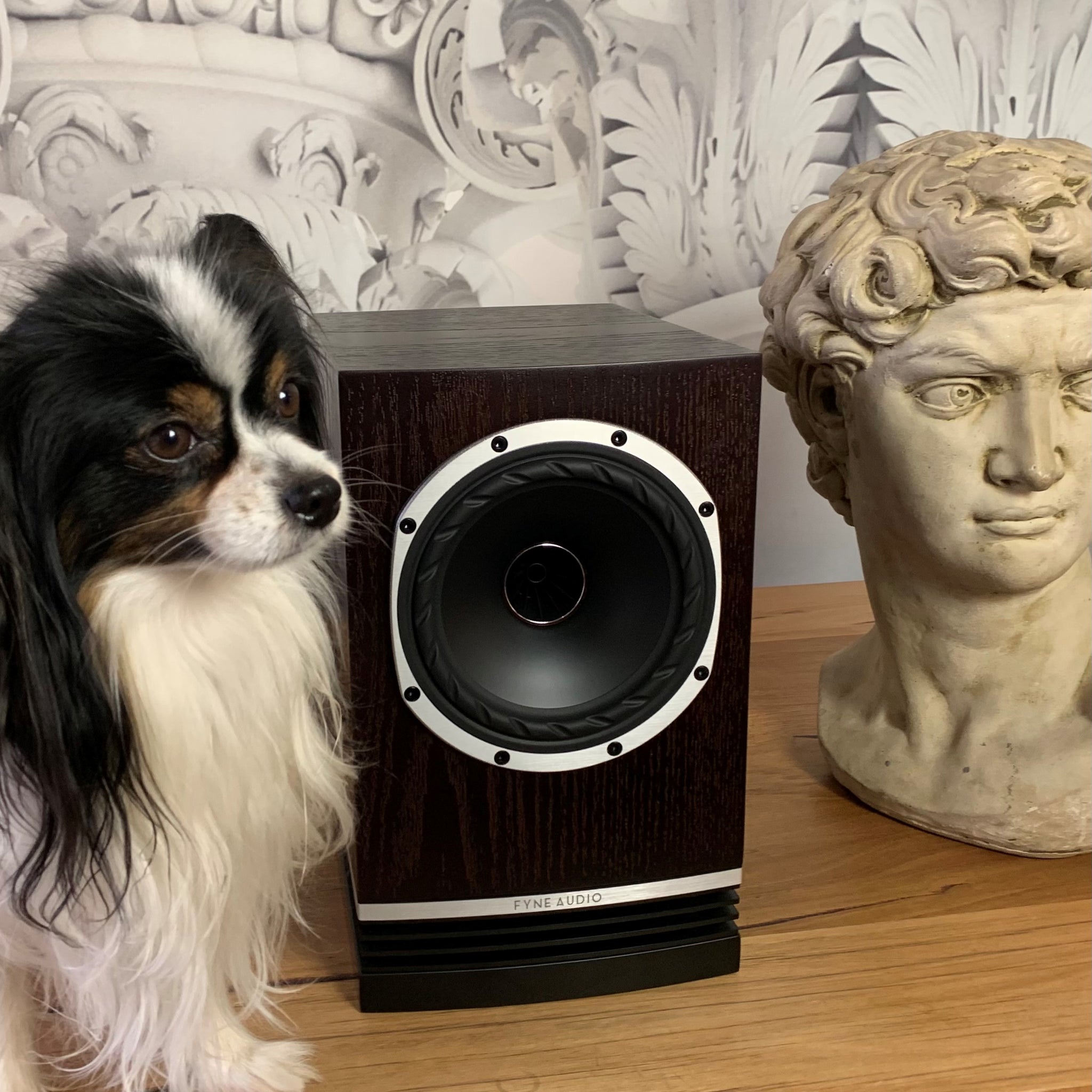 Fyne Audio F500 loudspeakers ... dual concentric with detail and focus