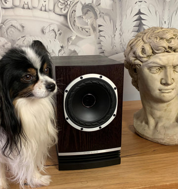 Fyne Audio F500 loudspeakers ... dual concentric with detail and focus