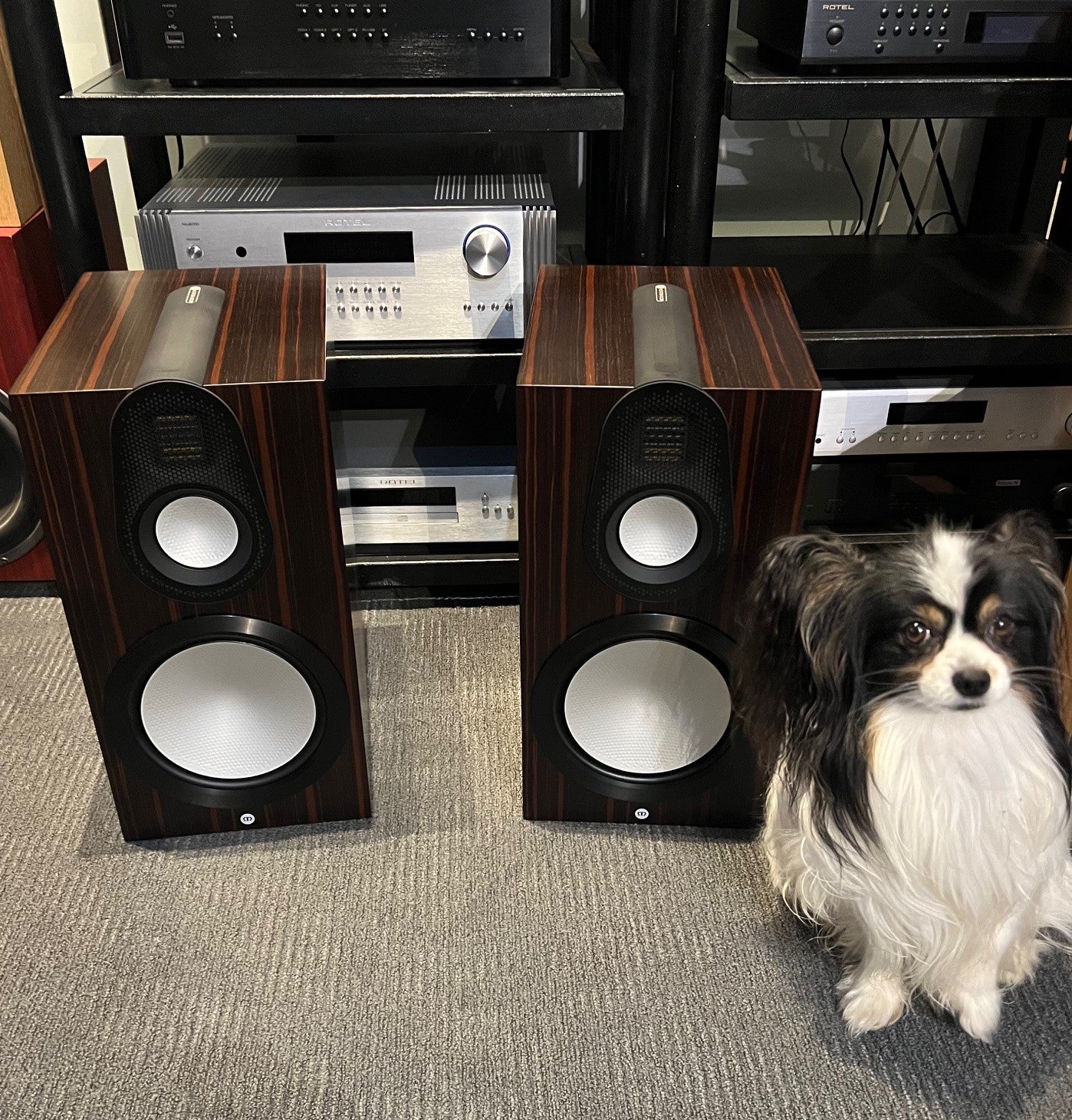 Monitor Audio Gold 100 6G sixth generation