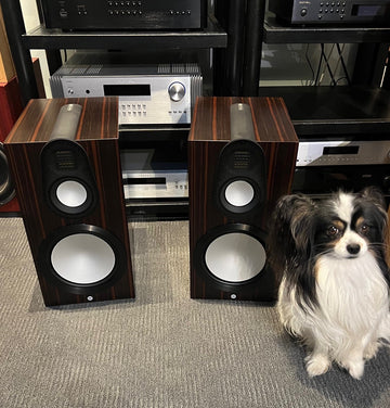 Monitor Audio Gold 100 6G sixth generation