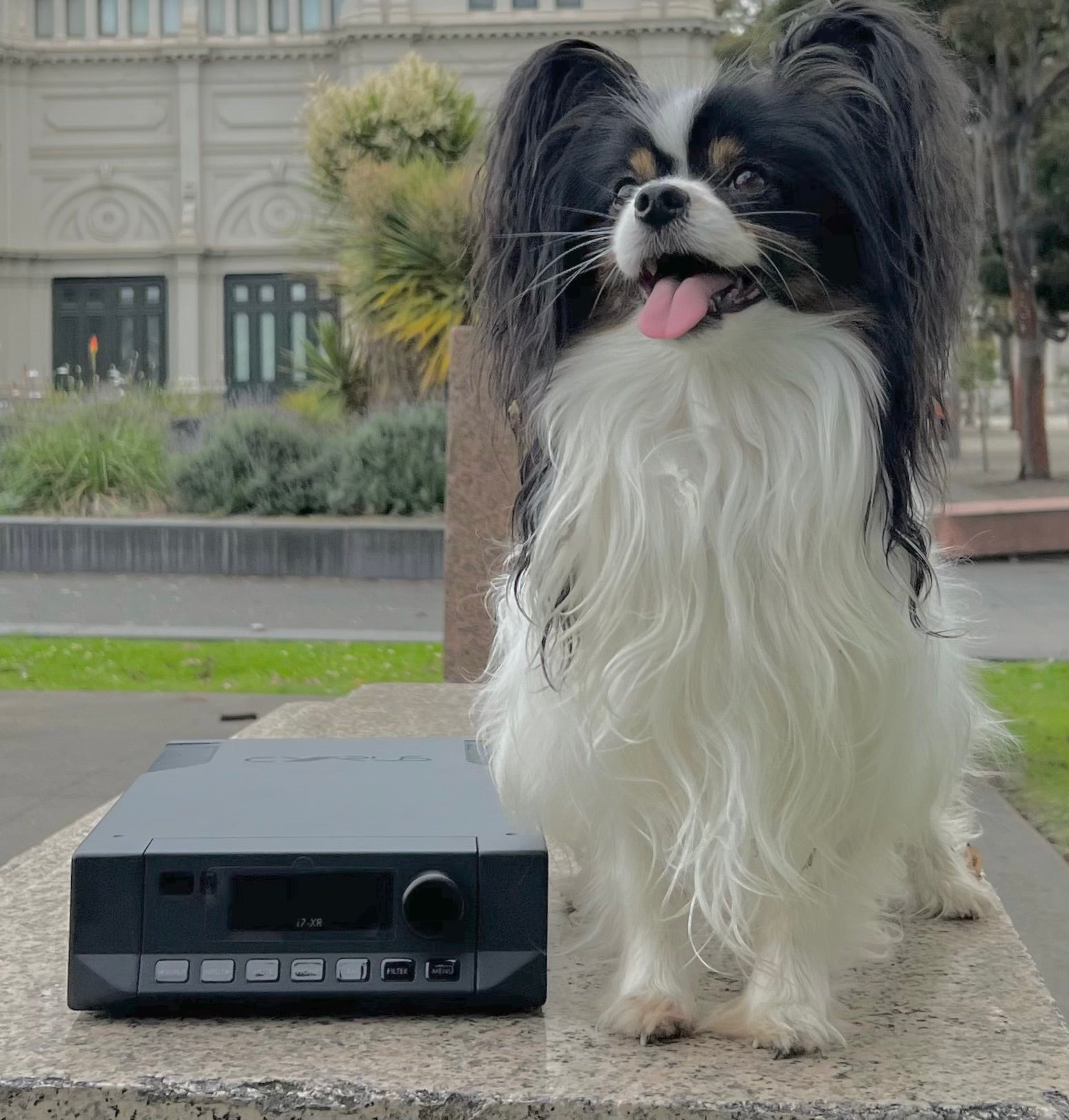 Cyrus i9-XR integrated amplifier, EX-DEMO