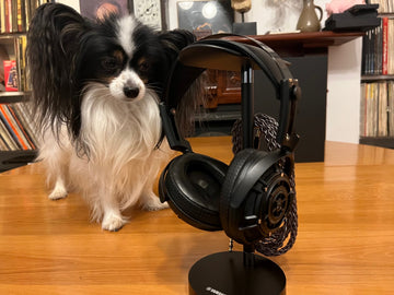 Yamaha YH-5000SE headphones ... Elven magic for your ears