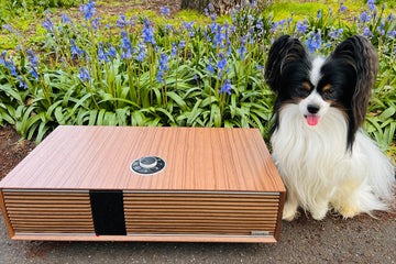 Ruark R410