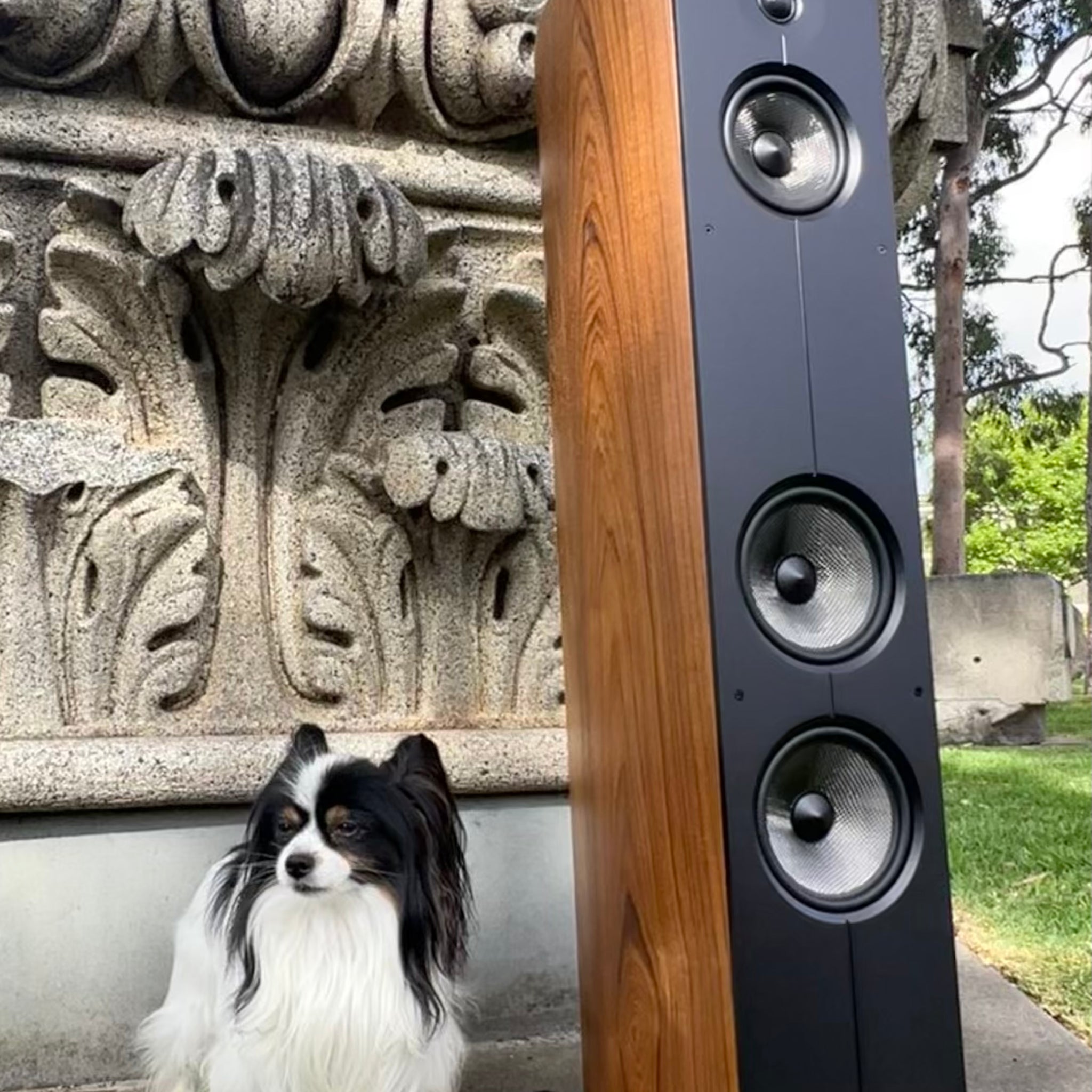 Acoustic Energy Corinium loudspeakers ... as though hewn of ancient stone