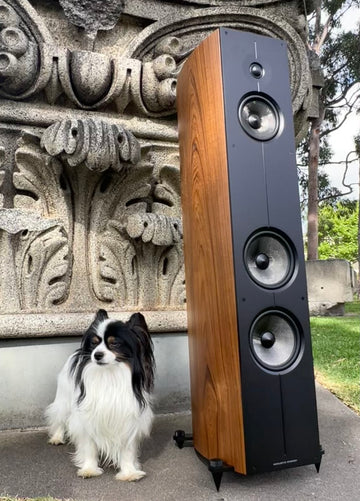 Acoustic Energy Corinium loudspeakers ... as though hewn of ancient stone