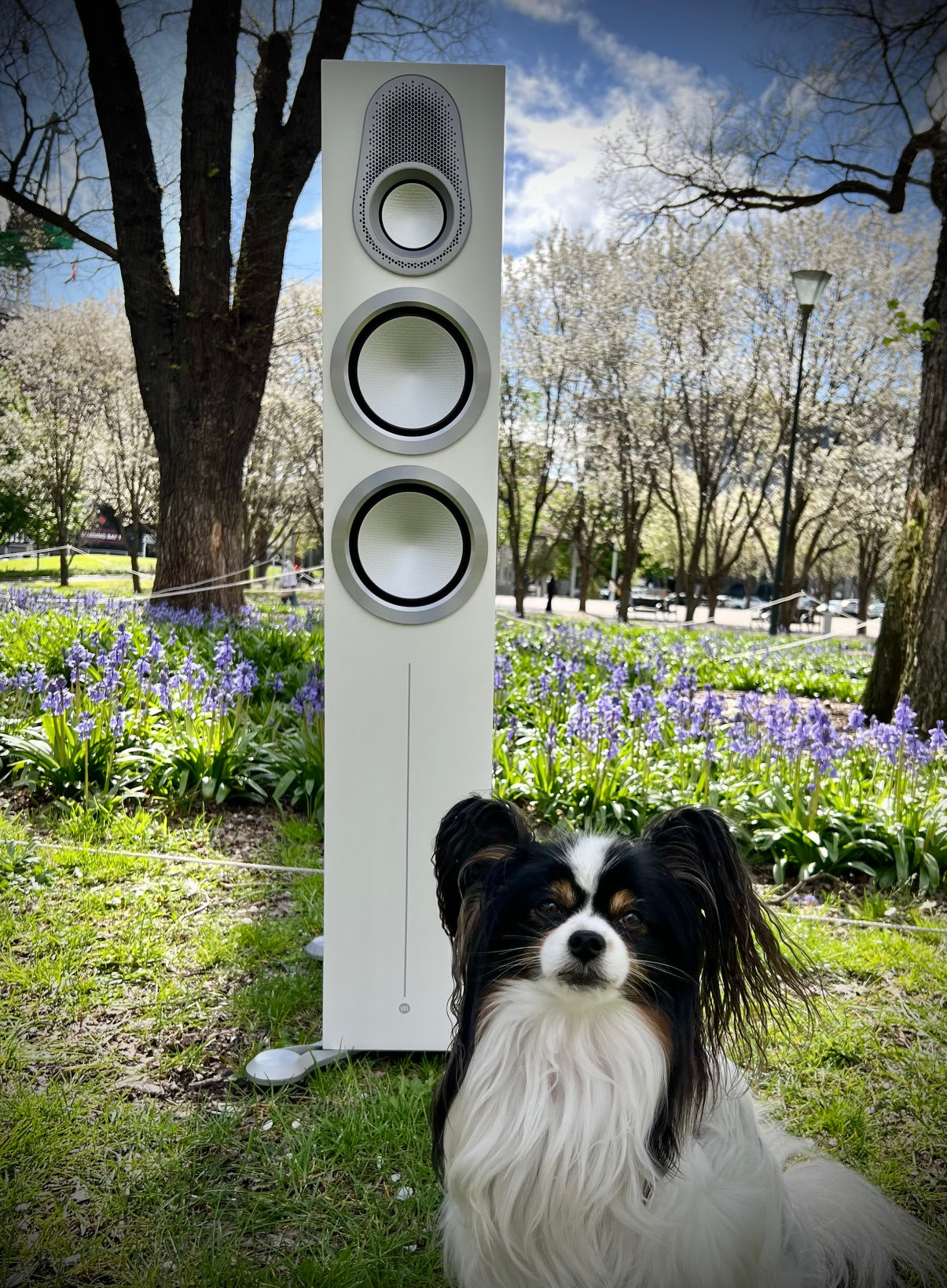 Monitor Audio Gold 300 6G