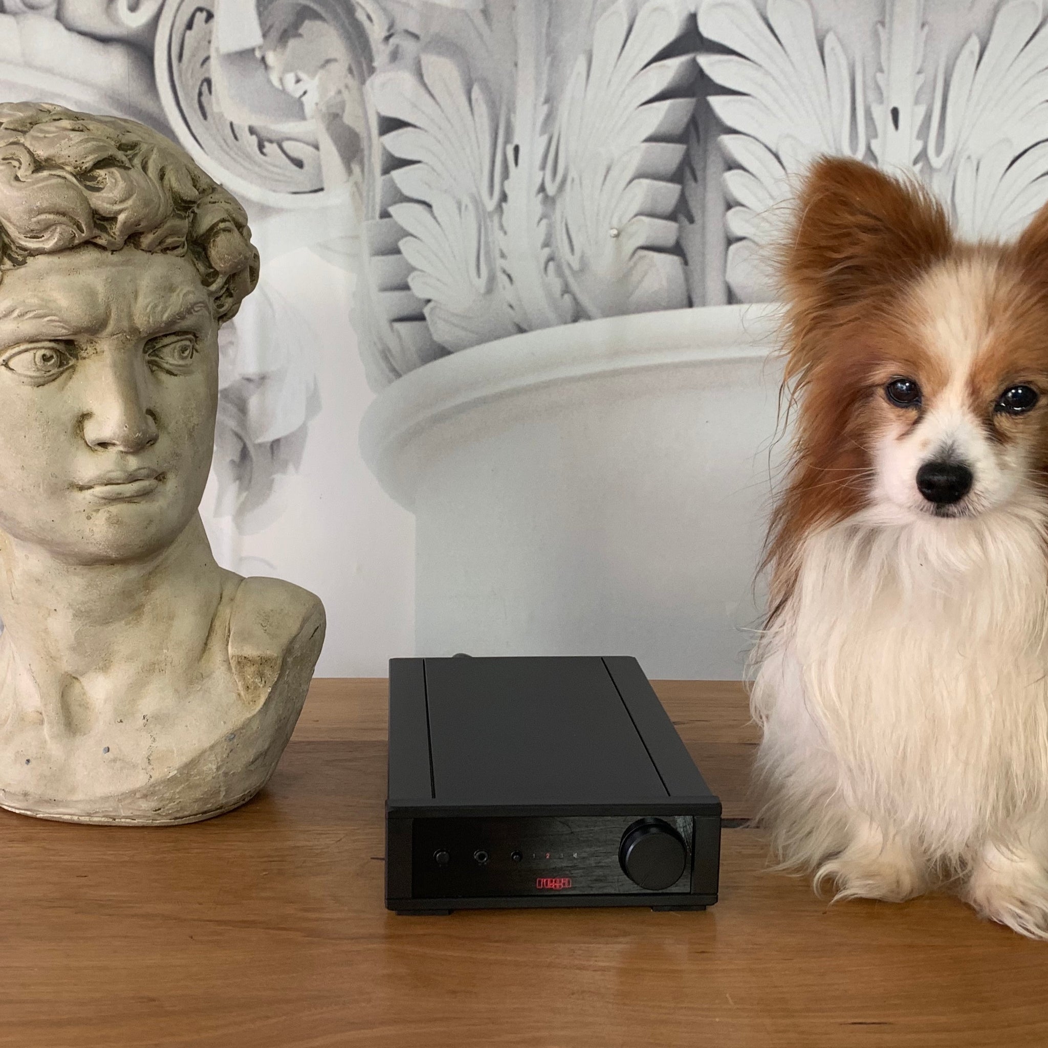 Rega Io ...quintissential amplifier