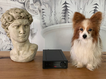 Rega Io ...quintissential amplifier