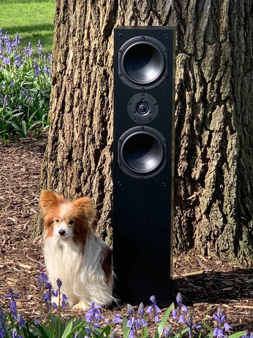 Krix Phoenix Mk2 floorstanding loudspeaker