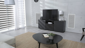 SVS 3000 In-Wall Dual Subwoofer System