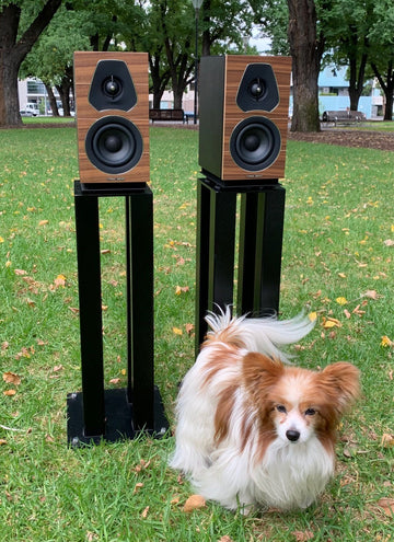 Sonus Faber Lumina I