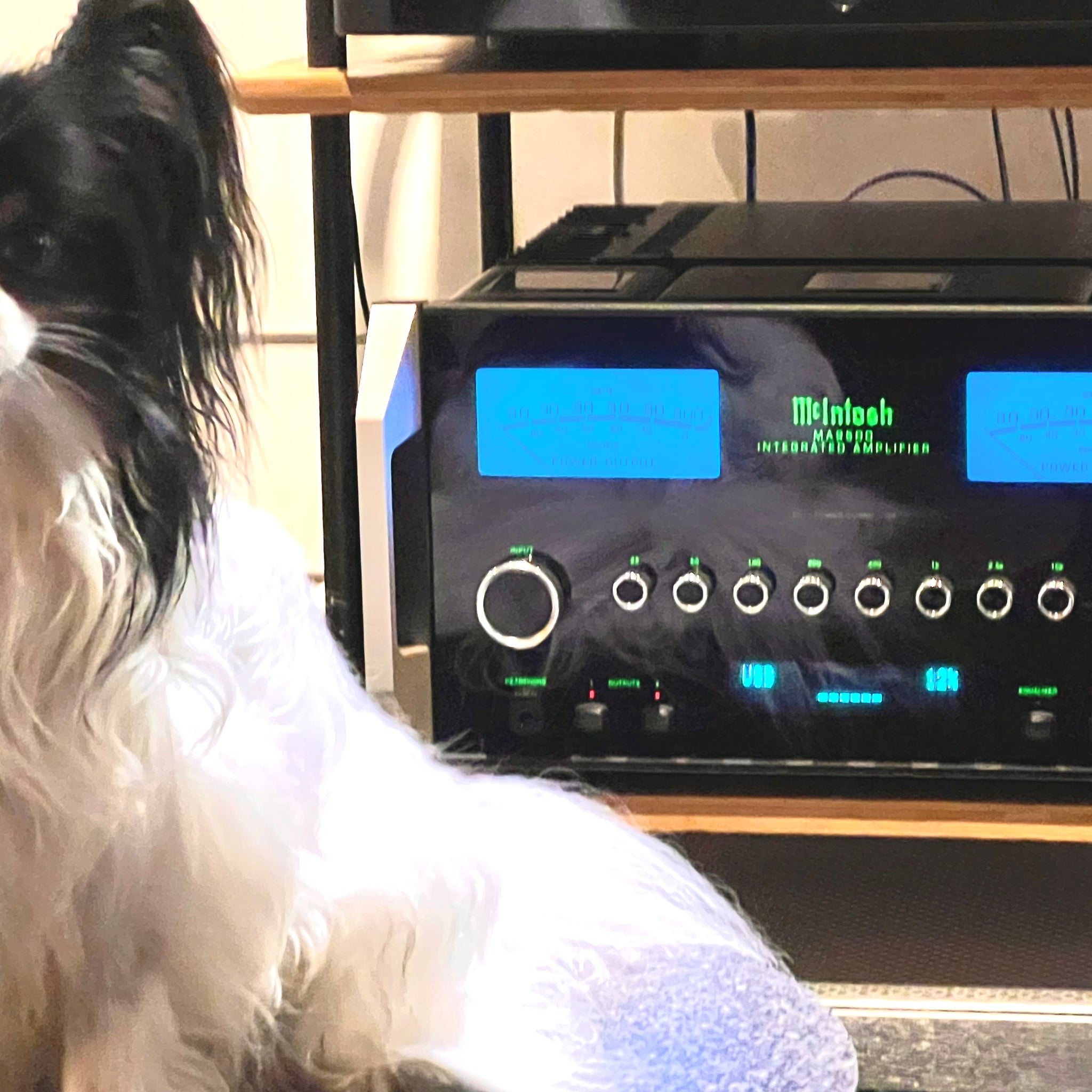 McIntosh MA9500 Integrated Amplifier ... Electric glide in blue