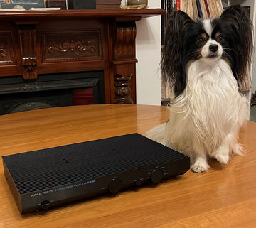 Musical Fidelity A1 amplifier ... pure class A throwback ...