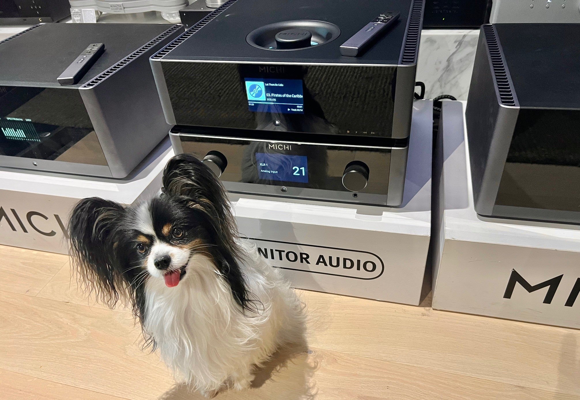 Rotel Michi Q5 CD Player