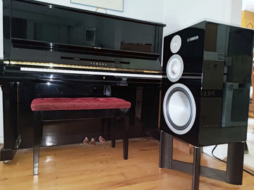Yamaha NS5000 speakers ... most technically advanced speaker in classical form