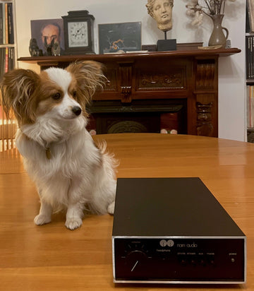 Naim Nait 50th Anniversary amplifier