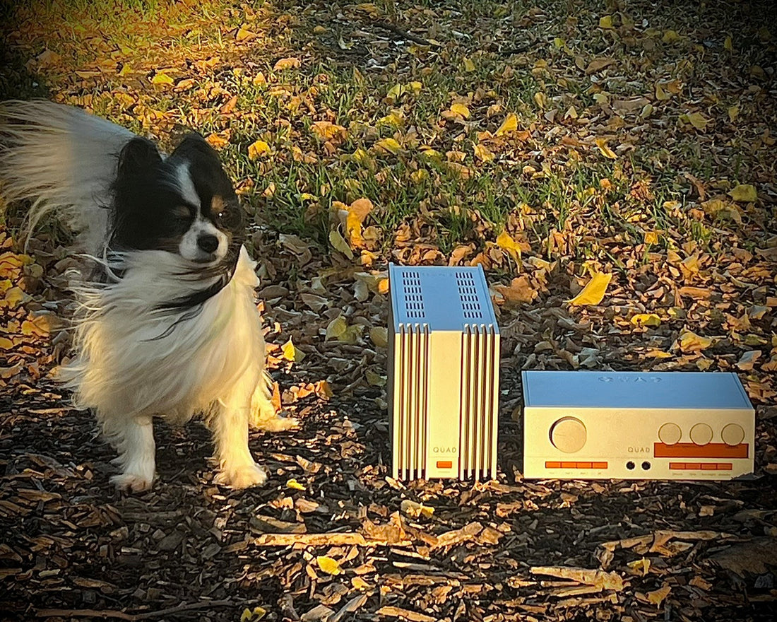 Quad 303 Power Amplifier  ... the resurrection and the life ... EOFY Sale
