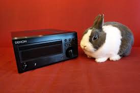 Denon RCD-M41DAB compact multi function high fidelity component