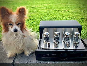 Synthesis Roma 510AC 80 Watt Valve integrated Amplifier (Hand made in italy)