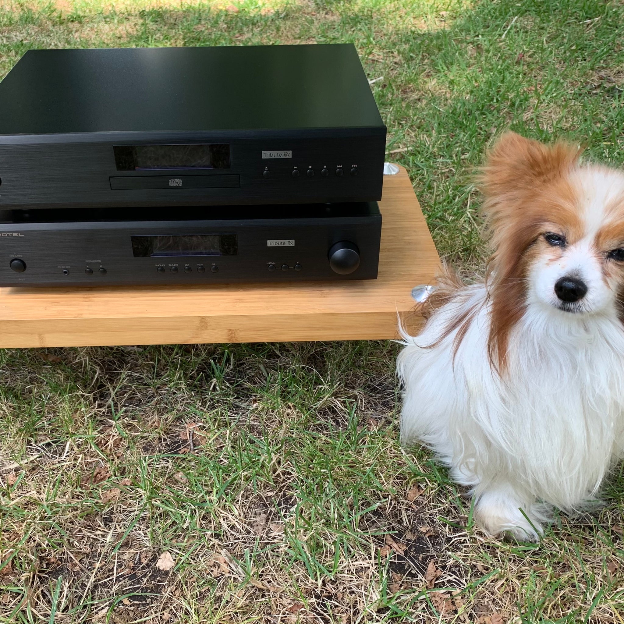 Rotel CD11 Tribute. This is not a Rotel CD Player ... this is a tribute ...