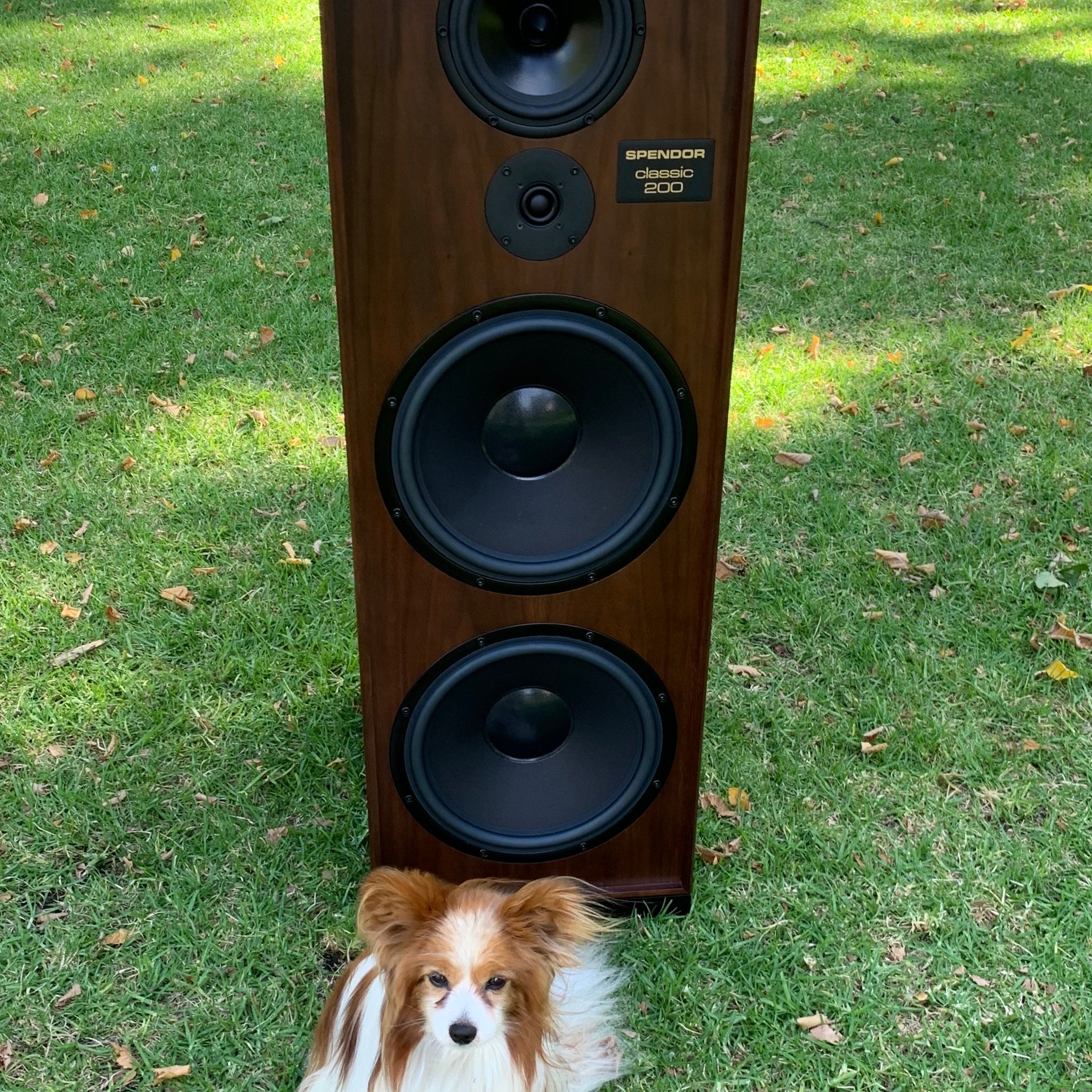 Spendor Classic 200 Speakers, EX-DEMO Cherry