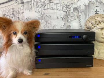 PS Audio Stellar M1200 Monoblock hybrid class A amplifier pair