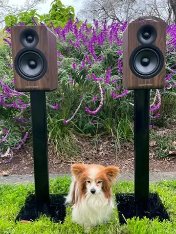 Acoustic Energy AE100.2, the best British compact loudspeaker?