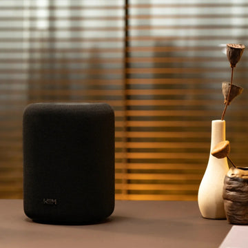 WiiM Sound Lite Smart Speaker