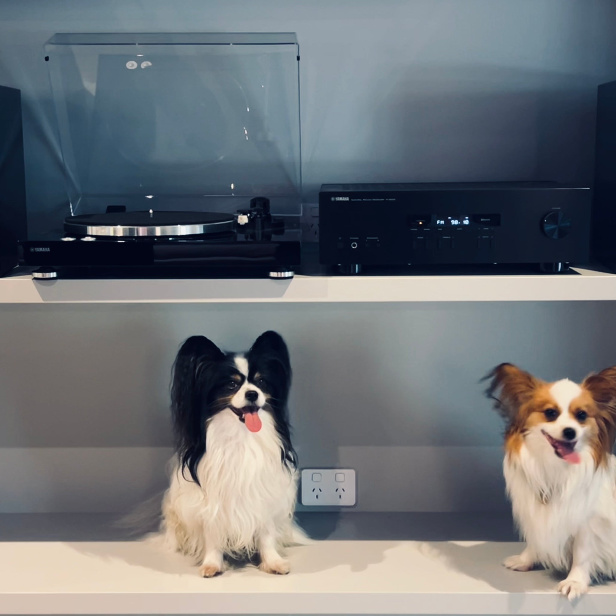Yamaha HiFi 3 Package, All-You-Need for good music.