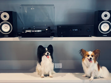 Yamaha HiFi 3 Package, All-You-Need for good music.