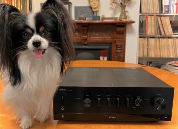 Yamaha RN800A stereo receiver with streaming 