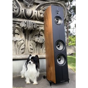 Acoustic Energy Corinium loudspeakers ... as though hewn of ancient stone