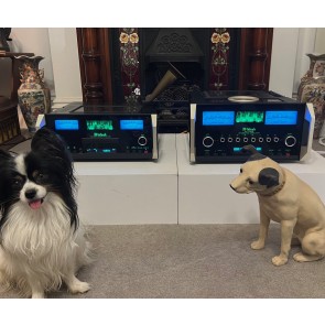 two dogs two McIntosh