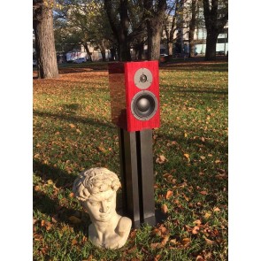 Dynaudio Special Forty sunrise in the park